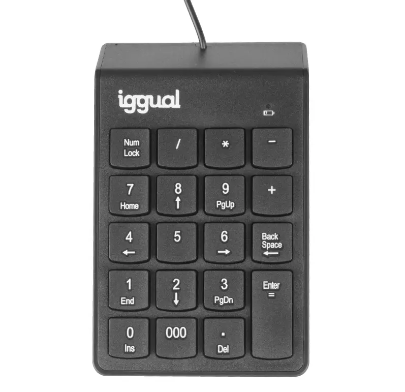 TECLADO NUMÉRICO USB IGGUAL CK-NUM-19T NEGRO
