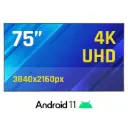 PANTALLA SEÑALIZACIÓN ORCHID 75" 4K IGGUAL ALTO BRILLO