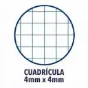 CUADERNO Fº ESPIRAL 80HJ. CUADRO 4MM-XXI