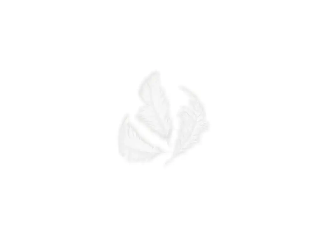 PLUMON SUAVE BLANCO 75MM.14GR