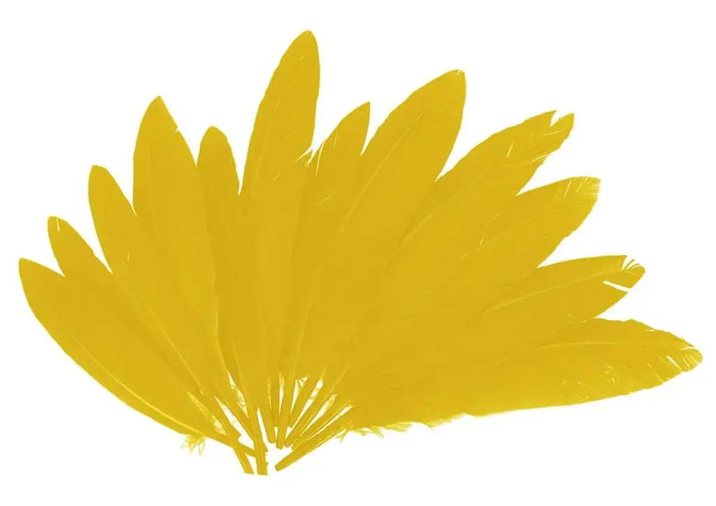 PLUMAS INDIO AMARILLAS 25MMX140MM.60UD 