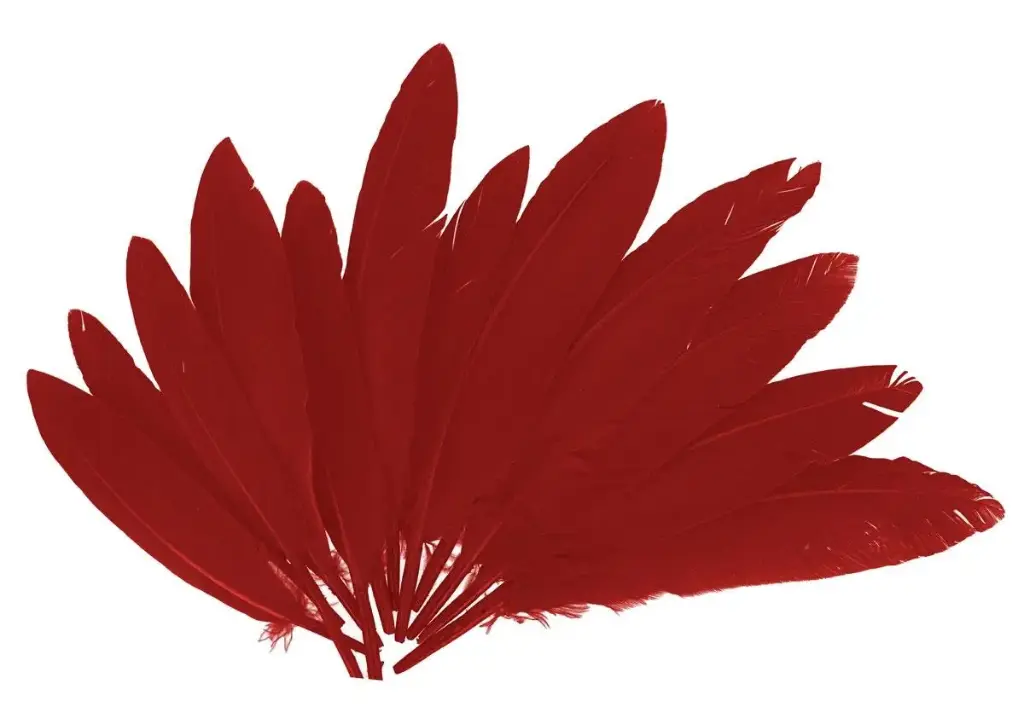 PLUMAS INDIO ROJO 25MMX140MM.60UD  