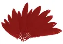 PLUMAS INDIO ROJO 25MMX140MM.60UD  