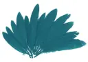 PLUMAS INDIO AZUL 25MMX140MM.60UD   