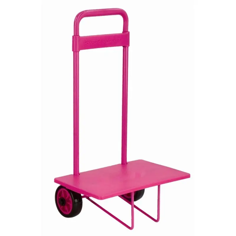 CARRO F3 ROSA - SPORTANDEM