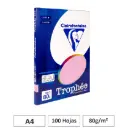 PAPEL A4 80GR ROSA 100 HOJAS CLAIREFONTAINE