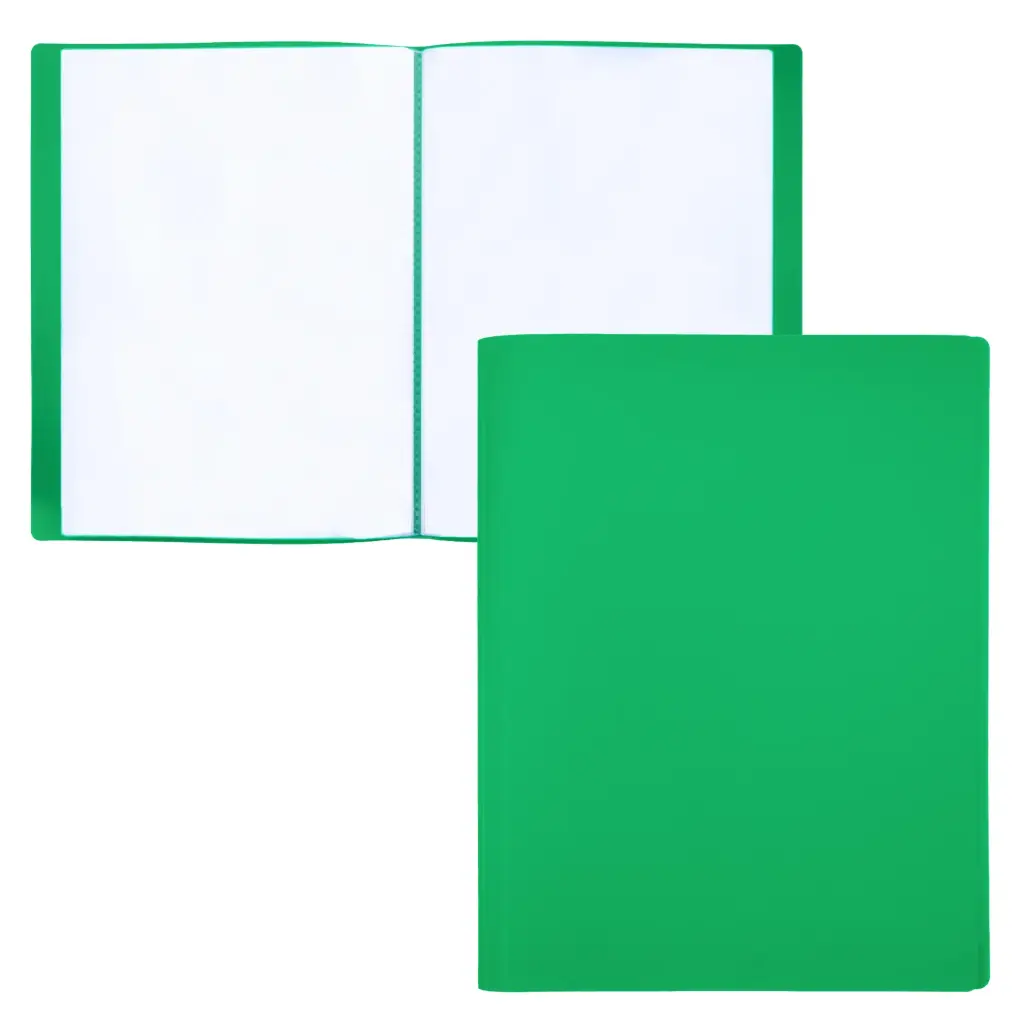 CARPETA DE FUNDAS RAYLU PAPER PREMIUM A4 40 FUNDAS VERDE