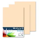 CARTULINA RAYLU A4 180 GRAMOS CREMA PK 100 HOJAS