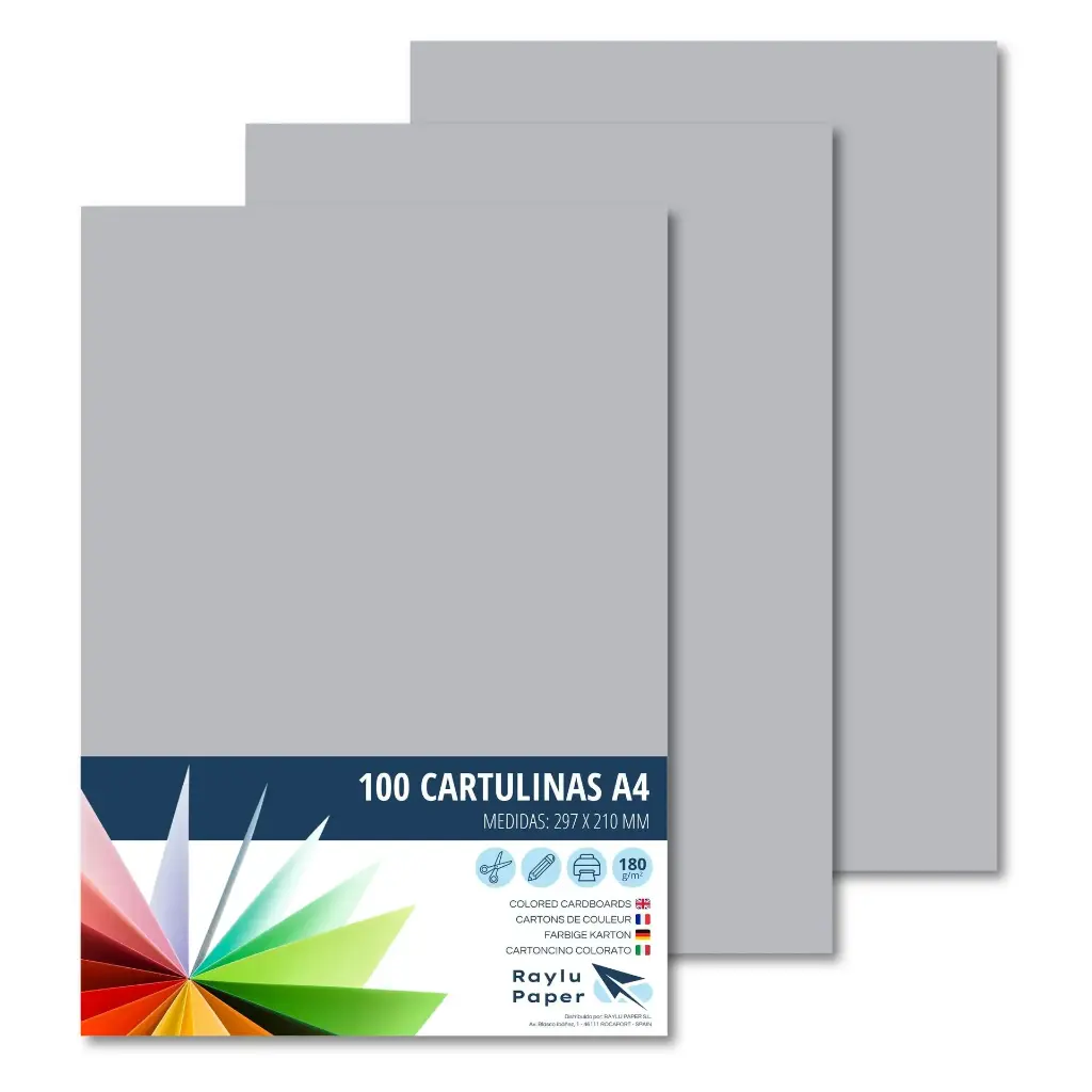 CARTULINA RAYLU PAPER A4 180 g/m² GRIS OSCURO