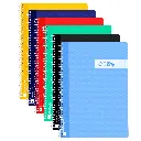 BLOC ESPIRAL A4 TAPA PLASTICO 80 HOJAS 90 GRAMOS CUADRO 3MM RAYLU
