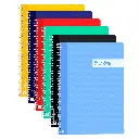 BLOC ESPIRAL A4 TAPA PLASTICO 80 HOJAS 90 GRAMOS LISO RAYLU