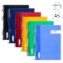 BLOC ESPIRAL A5 TAPA PLASTICO 80 HOJAS 90 GRAMOS CUADRO 4MM RAYLU