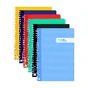 BLOC ESPIRAL A5 TAPA PLASTICO 80 HOJAS 90 GRAMOS LISO RAYLU