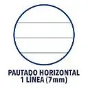 CUADERNO A4 ESPIRAL 66HJ. HORIZONTAL-XXI