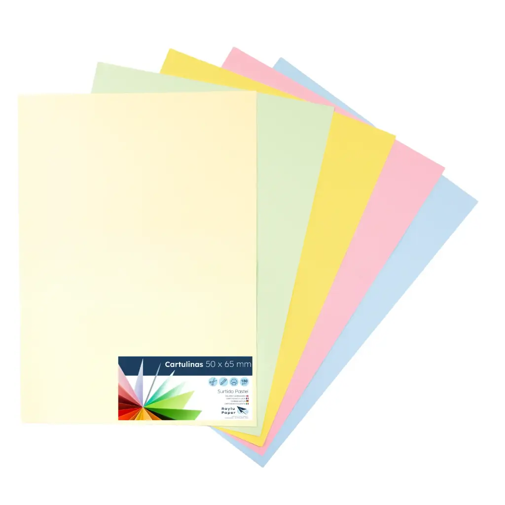 CARTULINAS RAYLU COLORES PASTEL SURTIDOS 50x65CM 180 GRAMOS PACK 25 HOJAS RAYLU