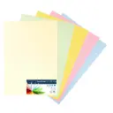 CARTULINAS RAYLU COLORES PASTEL SURTIDOS 50x65CM 180 GRAMOS PACK 25 HOJAS RAYLU