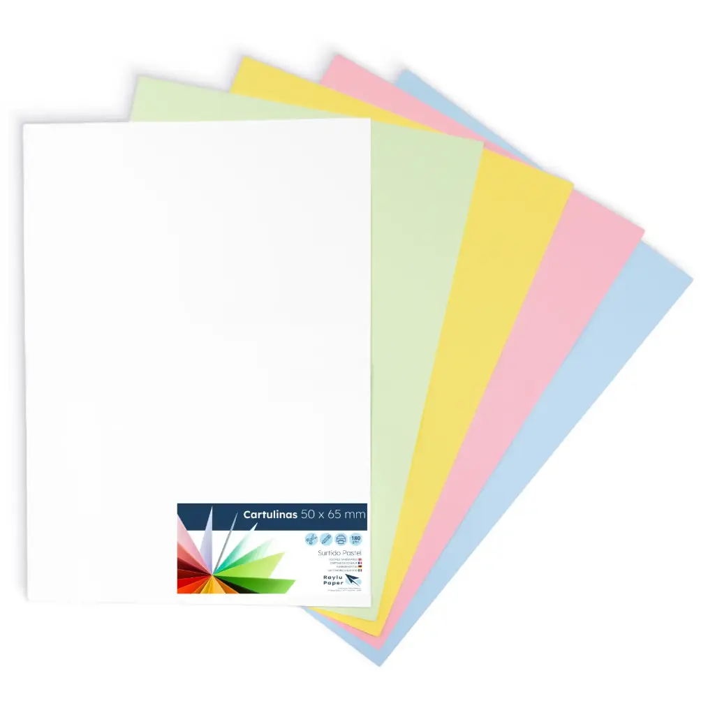 CARTULINAS RAYLU COLORES PASTEL SURTIDOS 50x65CM 180 GRAMOS PACK 5 HOJAS RAYLU