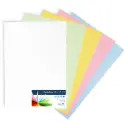 CARTULINAS RAYLU COLORES PASTEL SURTIDOS 50x65CM 180 GRAMOS PACK 5 HOJAS RAYLU