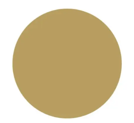 GOMETS CÍRCULO GRANDE Ø 21 MM METAL ORO