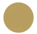 GOMETS CÍRCULO GRANDE Ø 21 MM METAL ORO