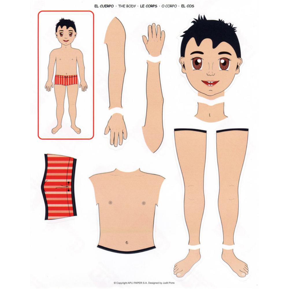 GOMETS APLI TEMÁTICOS EL CUERPO REMOVIBLES 26 UDS