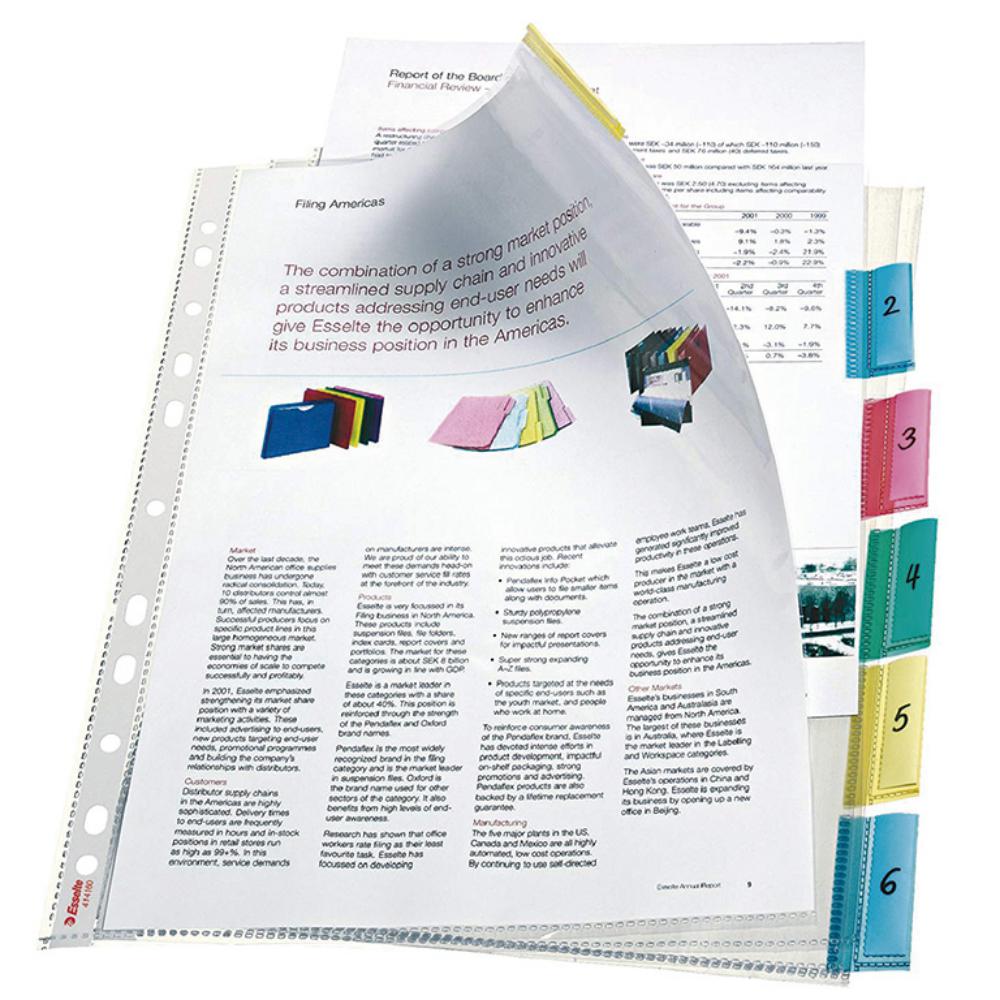 FUNDA MULTITALADRO LEITZ A4 PESTAÑAS 6