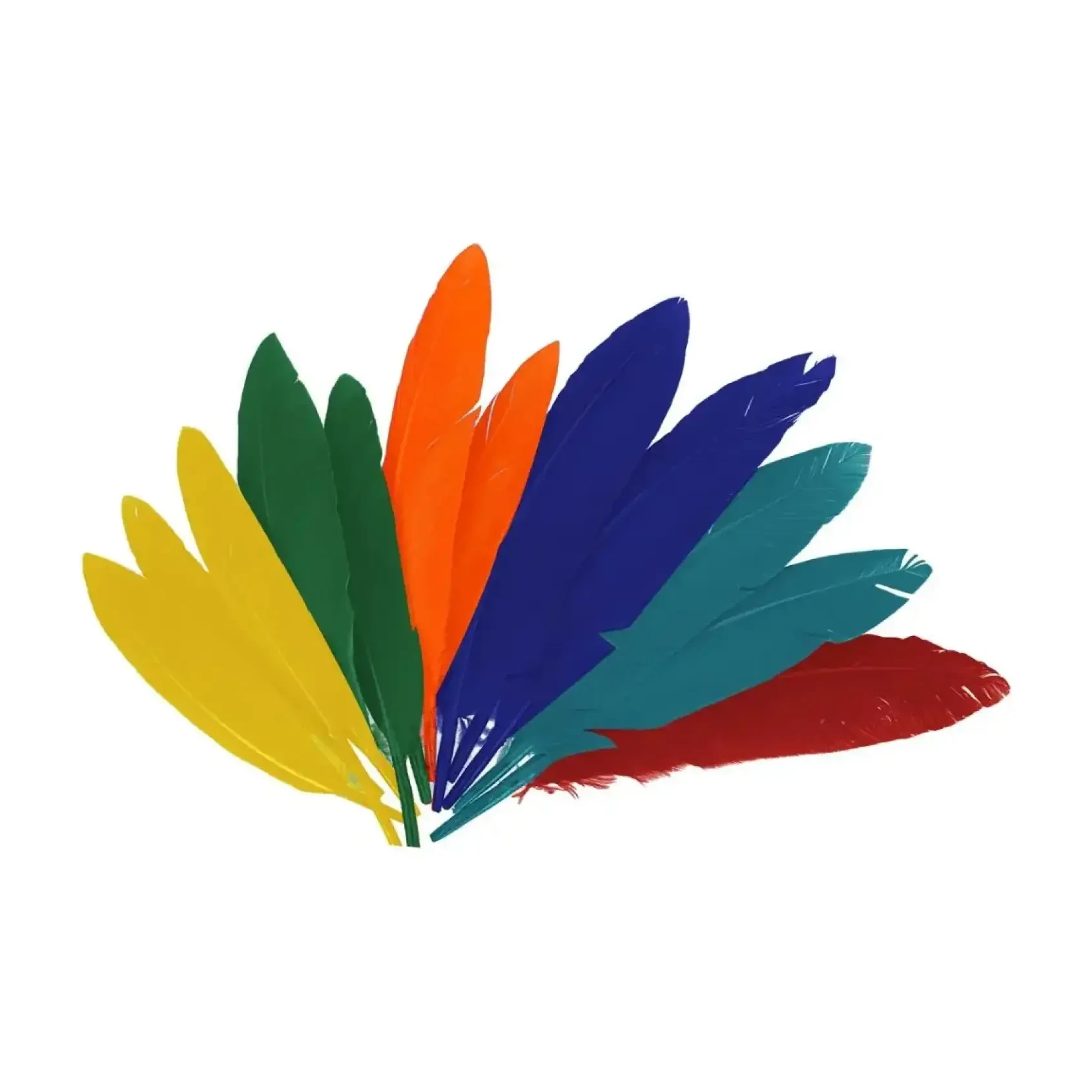 [826176] PLUMAS INDIO SURTIDAS 25MMX140MM 60 UDS