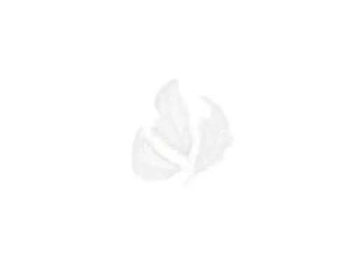 [826558] PLUMON SUAVE BLANCO 75MM.14GR