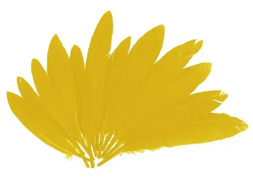 [826565] PLUMAS INDIO AMARILLAS 25MMX140MM.60UD 