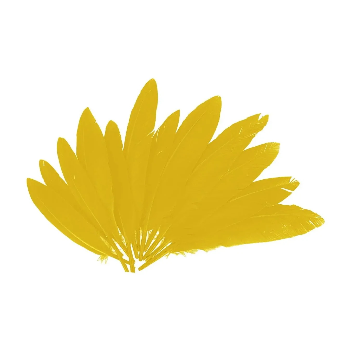 [826565] PLUMAS INDIO AMARILLAS 25MMX140MM.60UD 