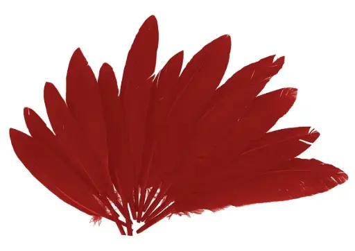 [826566] PLUMAS INDIO ROJO 25MMX140MM.60UD  