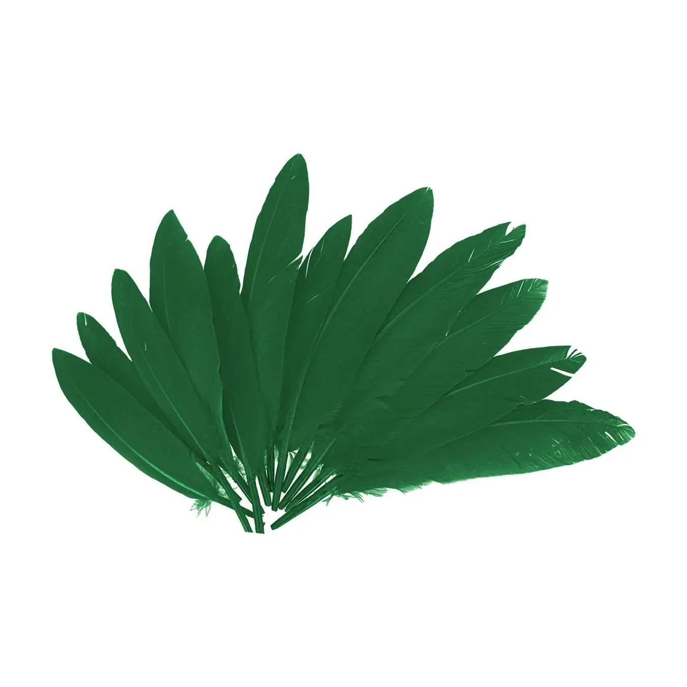 [826568] PLUMAS INDIO VERDE 25MMX140MM.60UD    