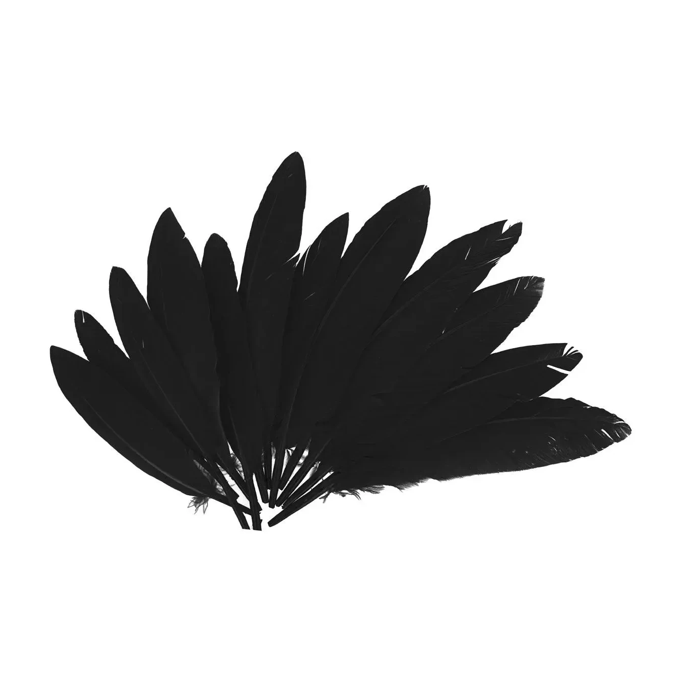 [826569] PLUMAS INDIO NEGRO 25MMX140MM.60UD     