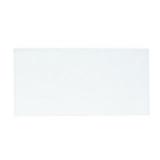[029433] SOBRES COMERCIALES BLANCOS 115X225MM CIERRE TIRA SILICONA 10UD