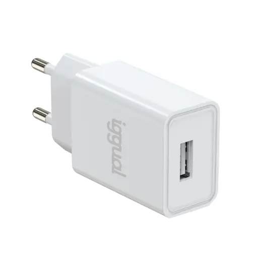 [800146] CARGADOR DE PARED IGGUAL  1XUSB 5V-2A 10W