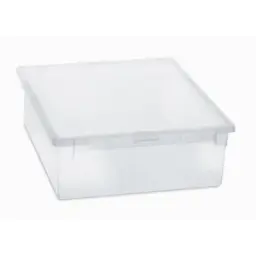 CAJA DE ALMACENAJE CON TAPA HOME BOX
