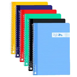 BLOC ESPIRAL A4 TAPA PLASTICO 80 HOJAS 90 GRAMOS CUADRO 4MM COLORES VIVOS RAYLU