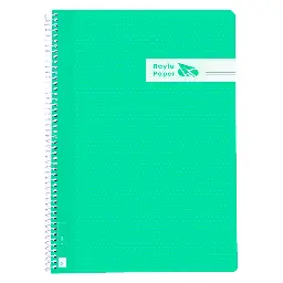 BLOC ESPIRAL A4 TAPA PLASTICO 80 HOJAS 90 GRAMOS HORIZONTAL VERDE RAYLU