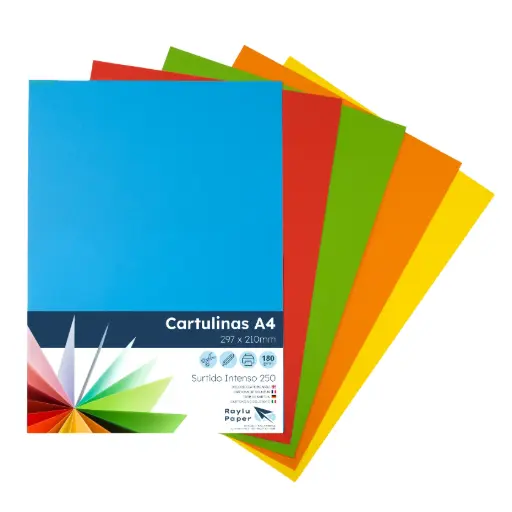 [497005] CARTULINAS RAYLU COLORES VIVOS SURTIDOS A4 180 GRAMOS PACK 250 HOJAS RAYLU