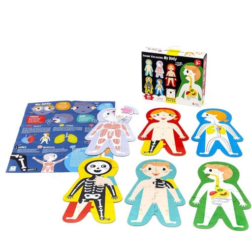 [670484] PUZZLE BANANA 6 PUZZLES XXL EL CUERPO HUMANO