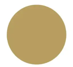 GOMETS CÍRCULO GRANDE Ø 21 MM METAL ORO