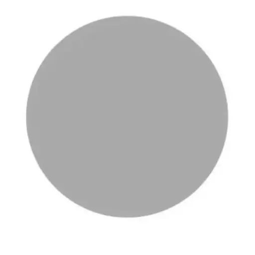 [825959] GOMETS CÍRCULO GRANDE Ø 21 MM METAL PLATA