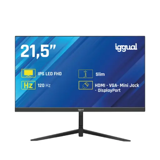 [826101] MONITOR IGGUAL 21,5" IPS 1 MS FHD 100 HZ VGA HDMI DP – ML21S