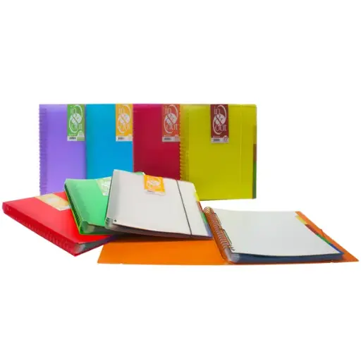 [825755] CARPETA GRAFOPLAS A4 IN&OUT 20 FUNDAS PP TRANSLÚCIDO VERDE