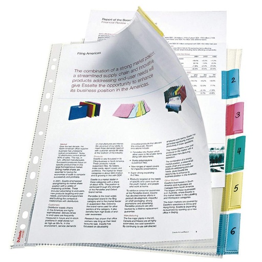 [209226] FUNDA MULTITALADRO LEITZ A4 PESTAÑAS 6