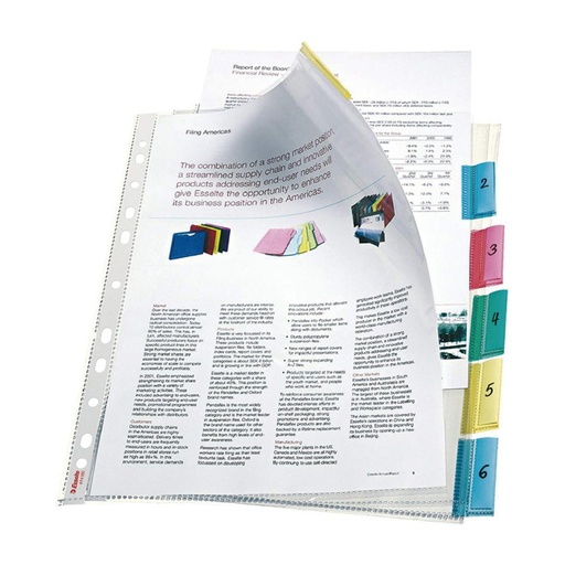 [209226] FUNDA MULTITALADRO LEITZ A4 PESTAÑAS 6