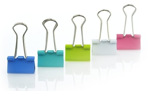 [825605] PINZAS DE PALA ABATIBLES 19 MM SDI – COLORES SURTIDOS (48 UNIDADES)